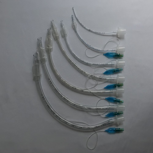 endotracheal tube